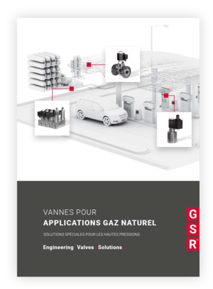 Brochure sur le gaz naturel
